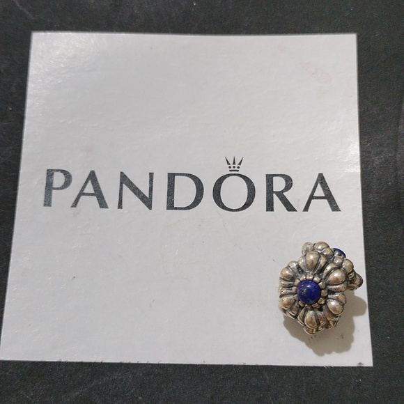 Pandora  Sterling Silver September Birthday Blooms Bead w/ Lapis - 790580LP - Picture 5 of 7
